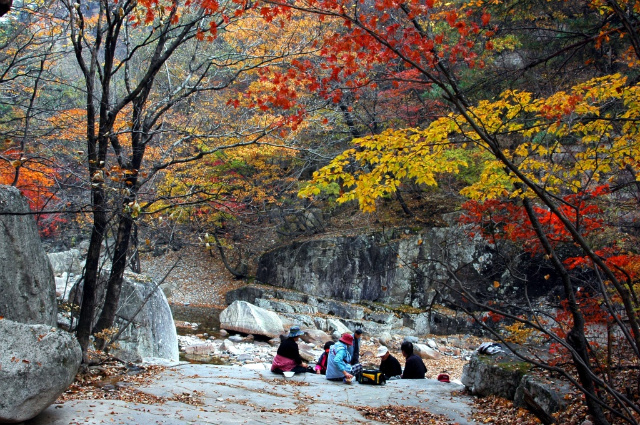 이미지를 클릭하면 원본을 보실 수 있습니다.