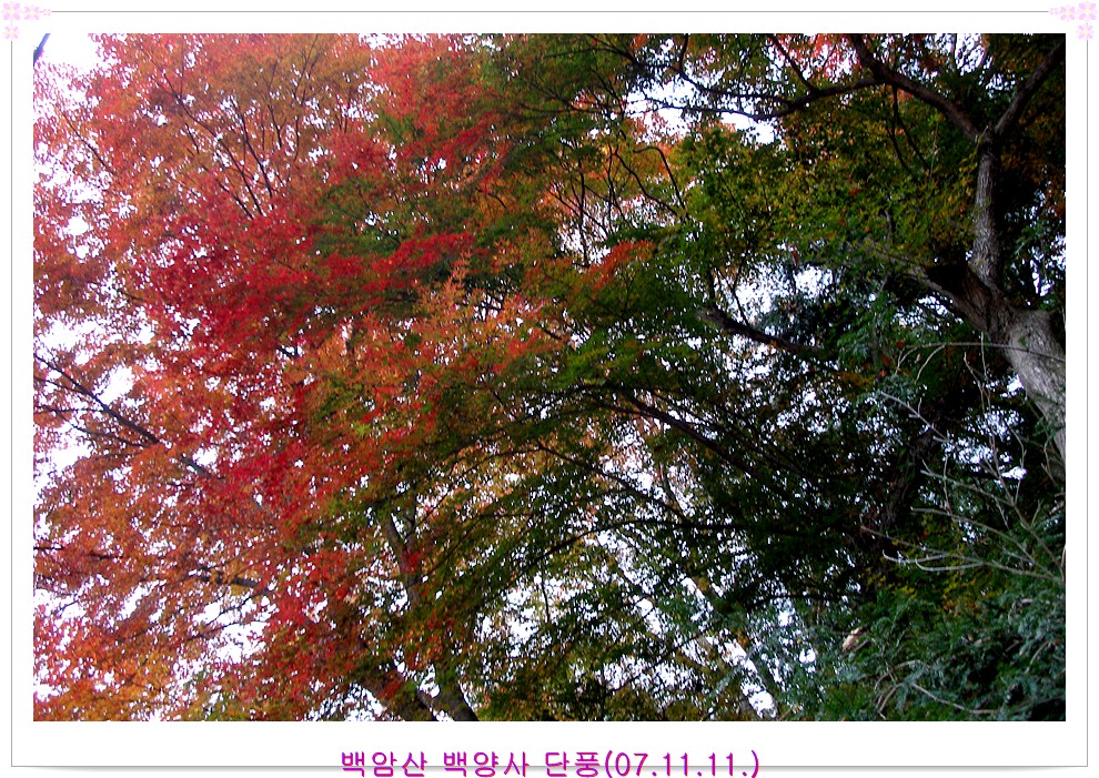 이미지를 클릭하면 원본을 보실 수 있습니다.