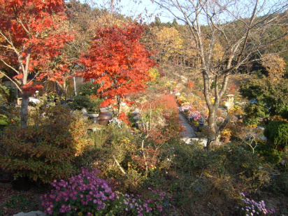 이미지를 클릭하면 원본을 보실 수 있습니다.