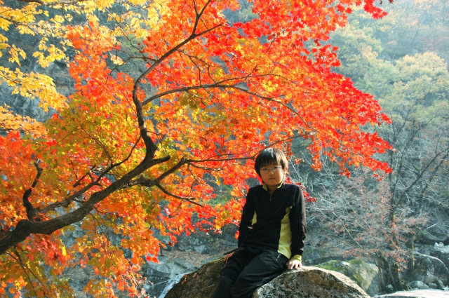 이미지를 클릭하면 원본을 보실 수 있습니다.