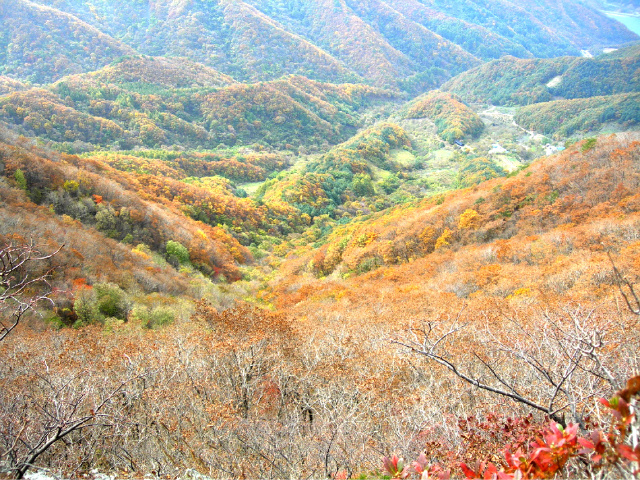 이미지를 클릭하면 원본을 보실 수 있습니다.