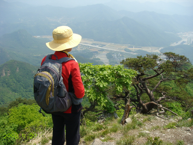 이미지를 클릭하면 원본을 보실 수 있습니다.