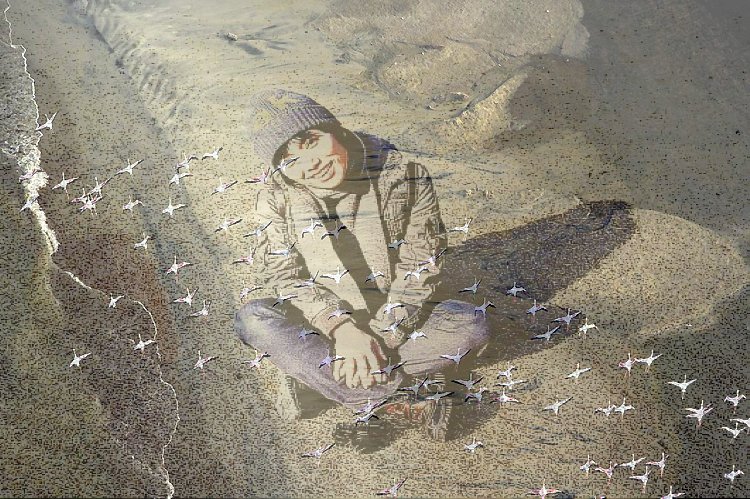 이미지를 클릭하면 원본을 보실 수 있습니다.