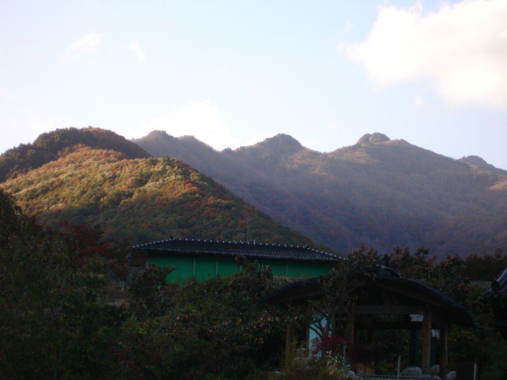이미지를 클릭하면 원본을 보실 수 있습니다.