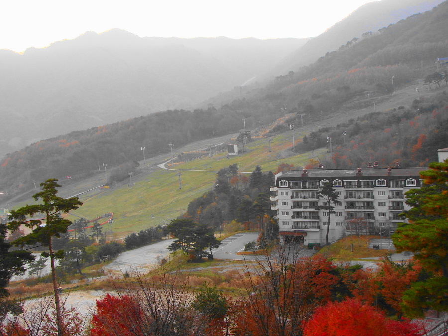이미지를 클릭하시면 원본크기로 보실수 있습니다.