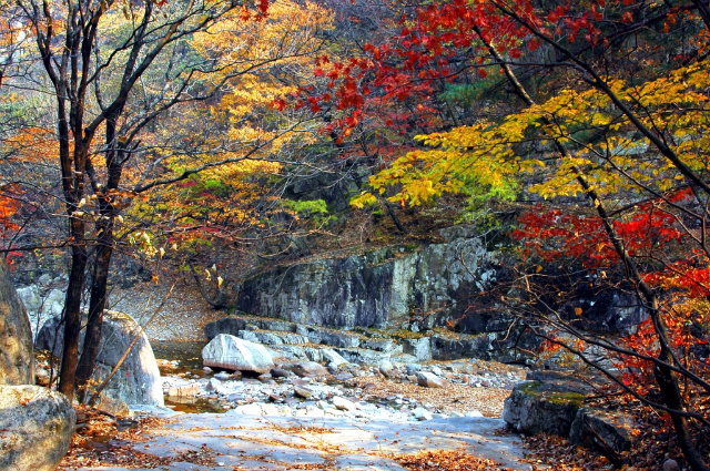 이미지를 클릭하면 원본을 보실 수 있습니다.