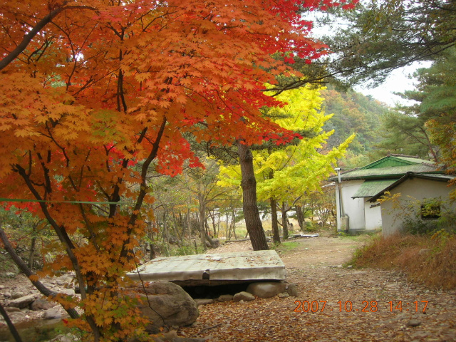 이미지를 클릭하면 원본을 보실 수 있습니다.