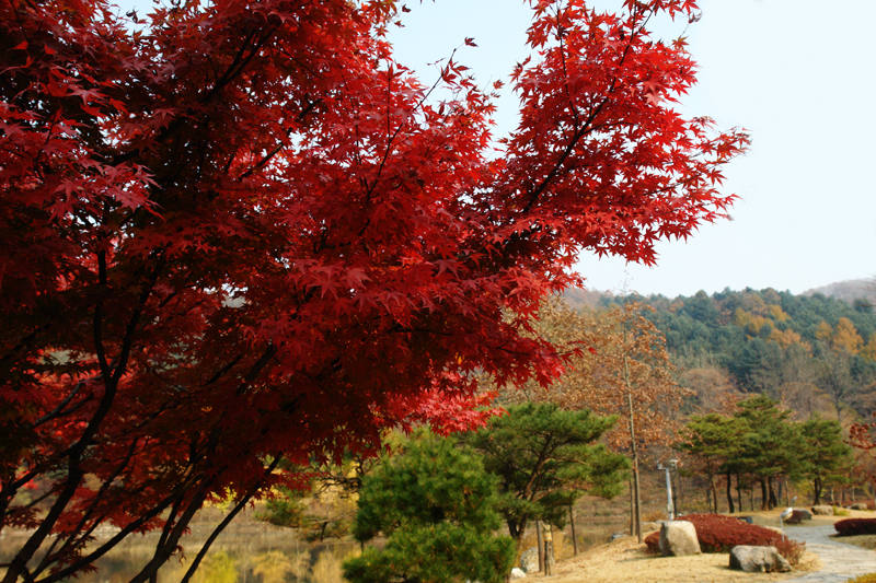 이미지를 클릭하면 원본을 보실 수 있습니다.