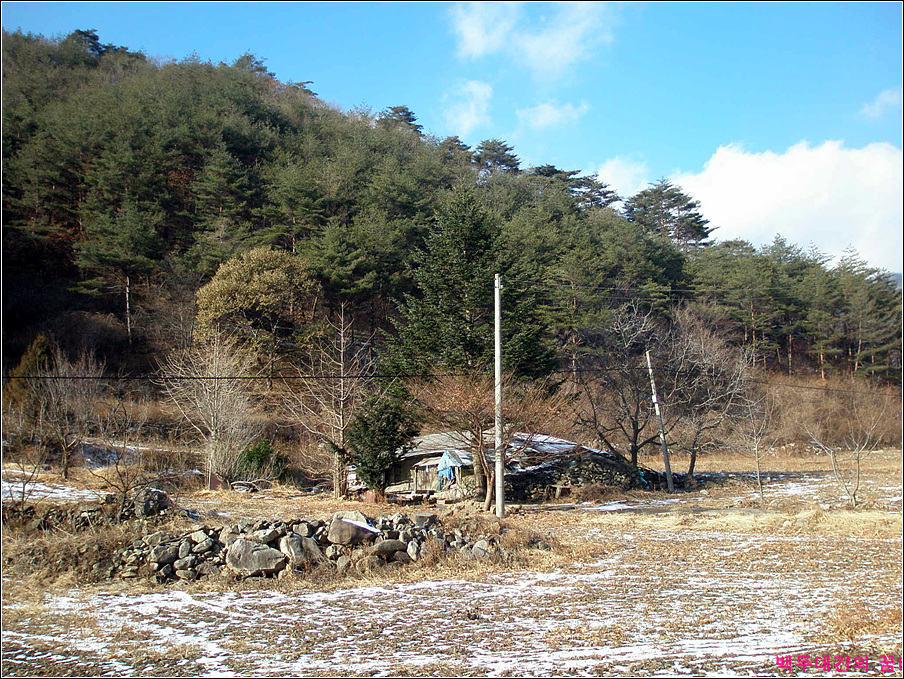 이미지를 클릭하면 원본을 보실 수 있습니다.