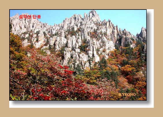 À̹ÌÁö¸¦ Ŭ¸¯ÇÏ¸é ¿øº»À» º¸½Ç ¼ö ÀÖ½À´Ï´Ù.