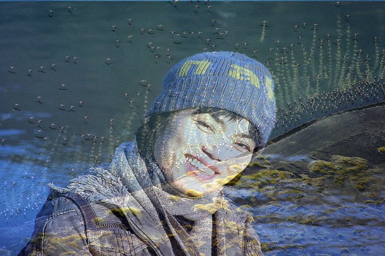 이미지를 클릭하면 원본을 보실 수 있습니다.