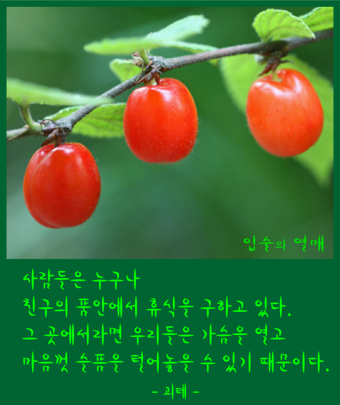 이미지를 클릭하면 원본을 보실 수 있습니다.