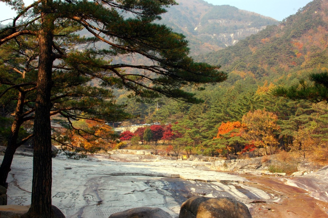 이미지를 클릭하면 원본을 보실 수 있습니다.