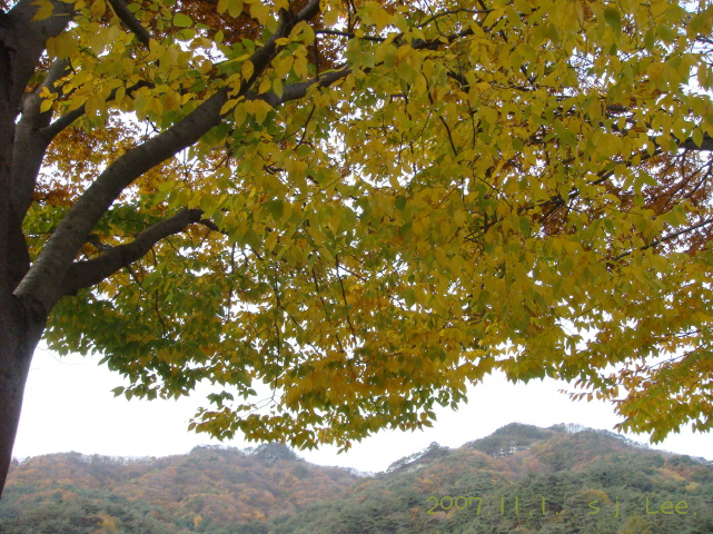 이미지를 클릭하면 원본을 보실 수 있습니다.
