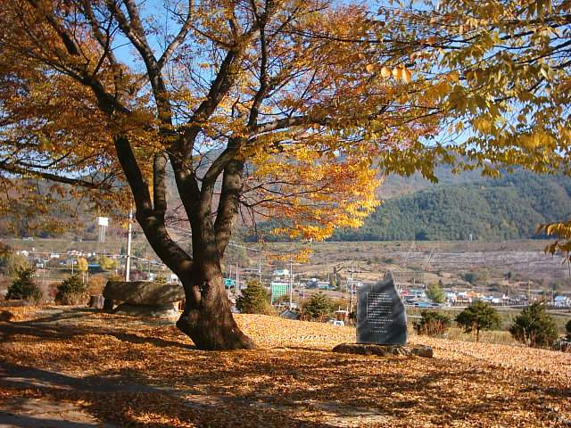 이미지를 클릭하면 원본을 보실 수 있습니다.