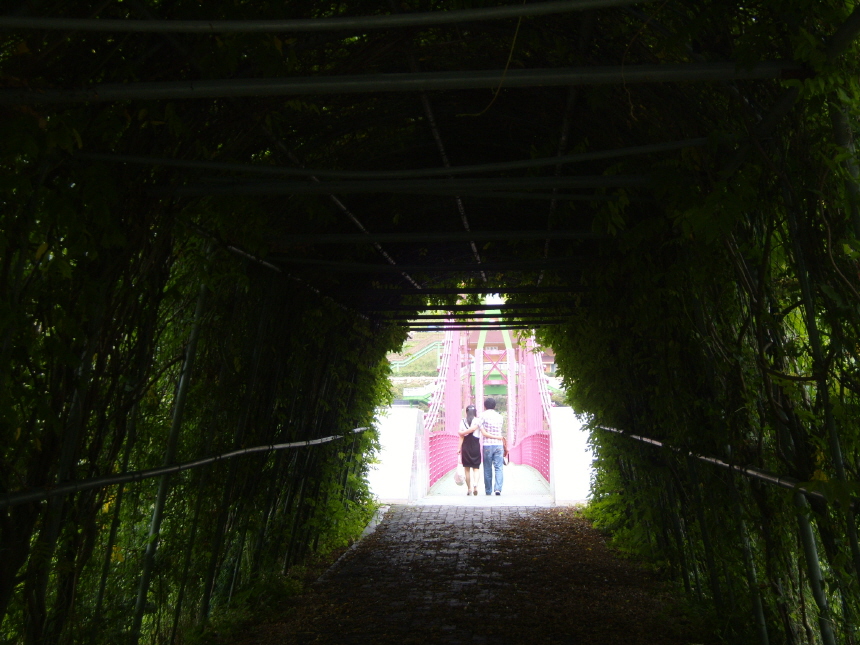 이미지를 클릭하면 원본을 보실 수 있습니다.