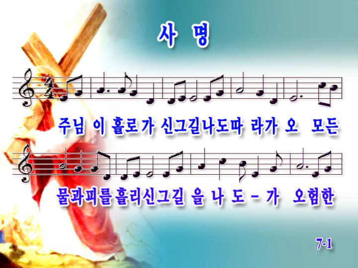 Daum 카페