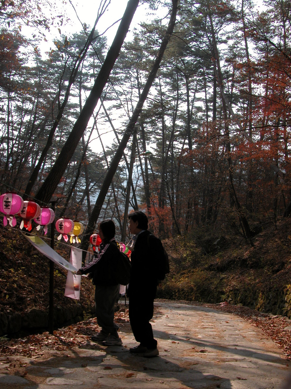 이미지를 클릭하면 원본을 보실 수 있습니다.