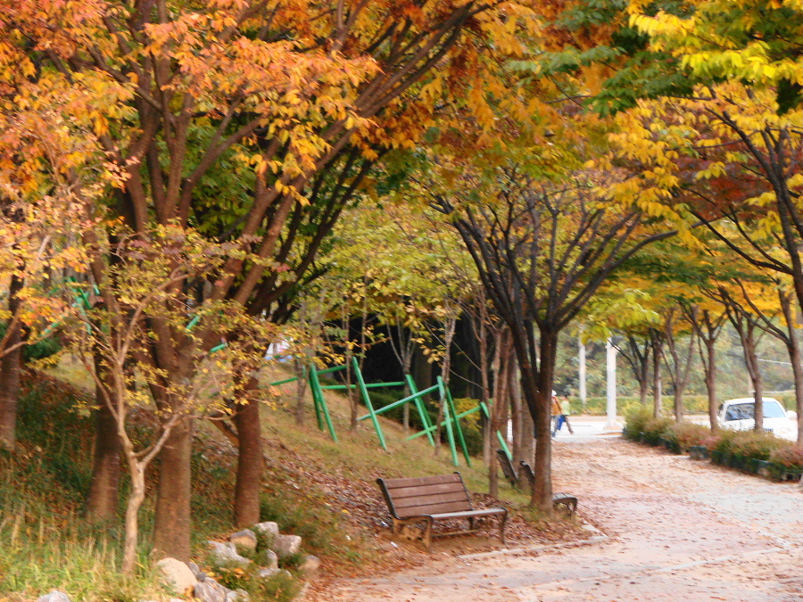이미지를 클릭하시면 원본크기로 보실수 있습니다.