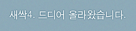 이미지를 클릭하면 원본을 보실 수 있습니다.