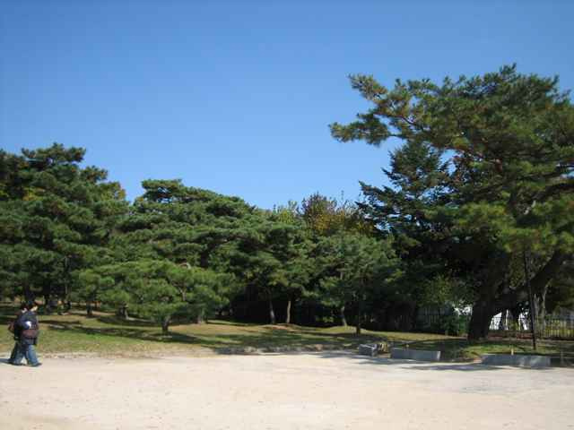 이미지를 클릭하면 원본을 보실 수 있습니다.