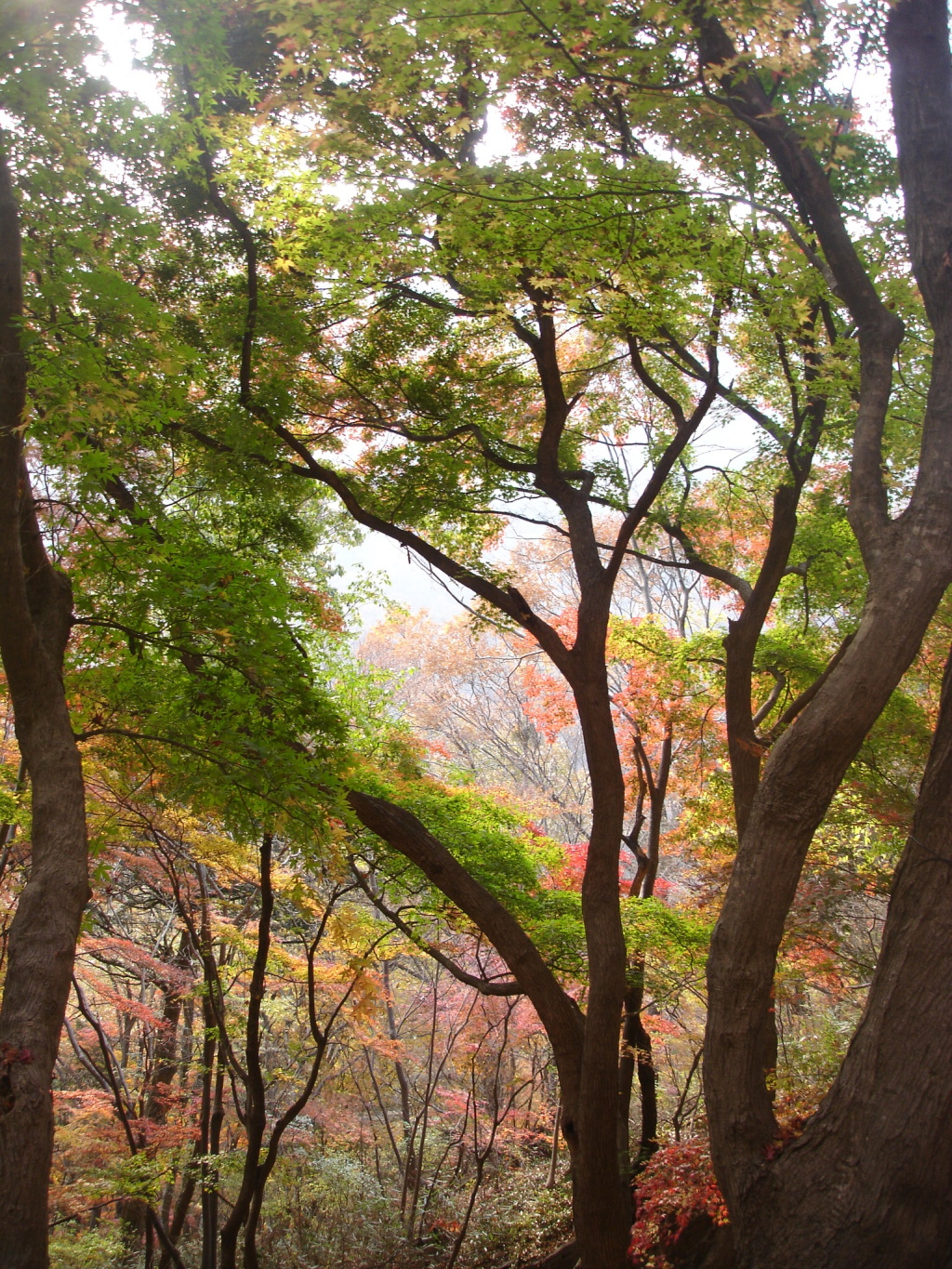 이미지를 클릭하면 원본을 보실 수 있습니다.