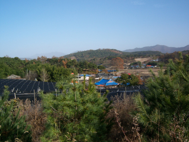 이미지를 클릭하면 원본을 보실 수 있습니다.