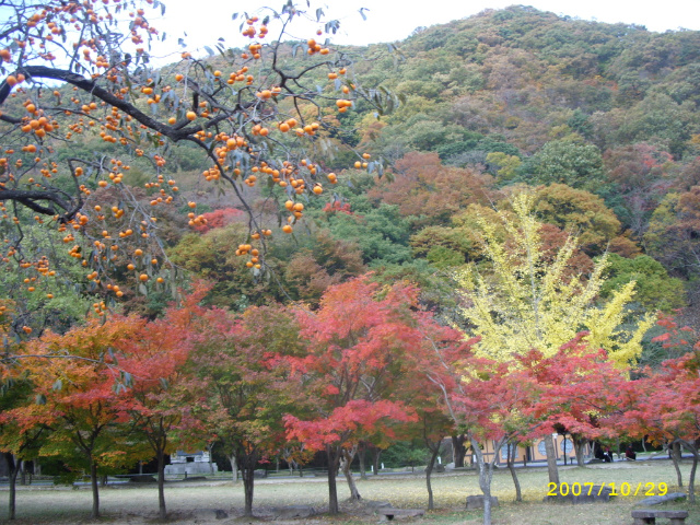 이미지를 클릭하면 원본을 보실 수 있습니다.
