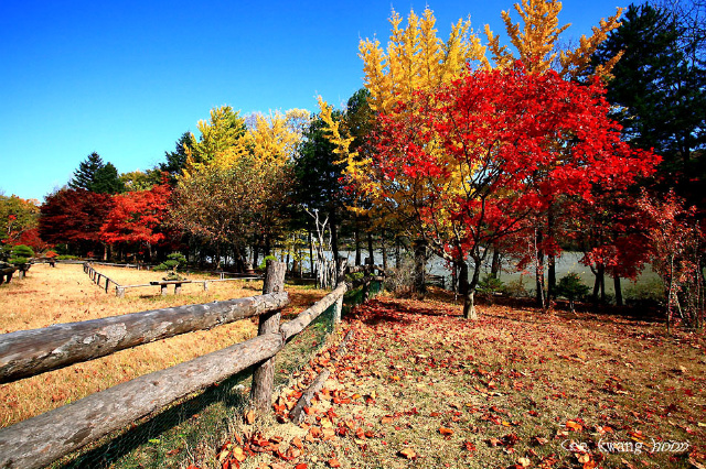 이미지를 클릭하면 원본을 보실 수 있습니다.