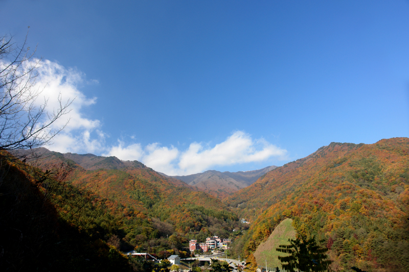 이미지를 클릭하면 원본을 보실 수 있습니다.