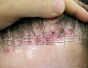 이미지를 클릭하면 원본을 보실 수 있습니다.