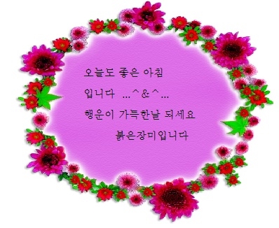 이미지를 클릭하면 원본을 보실 수 있습니다.