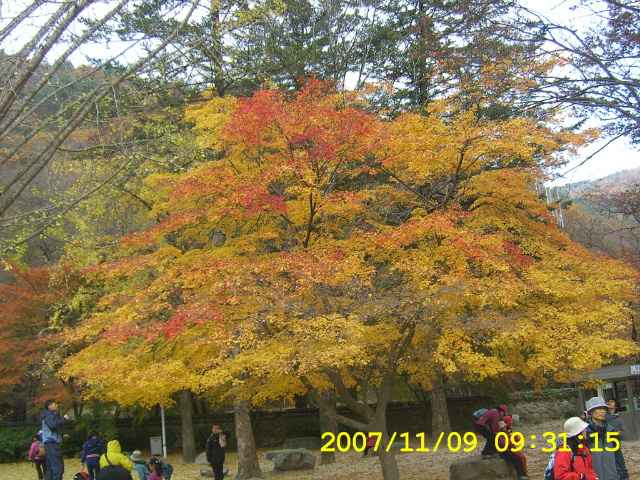 이미지를 클릭하면 원본을 보실 수 있습니다.