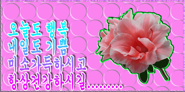 이미지를 클릭하면 원본을 보실 수 있습니다.