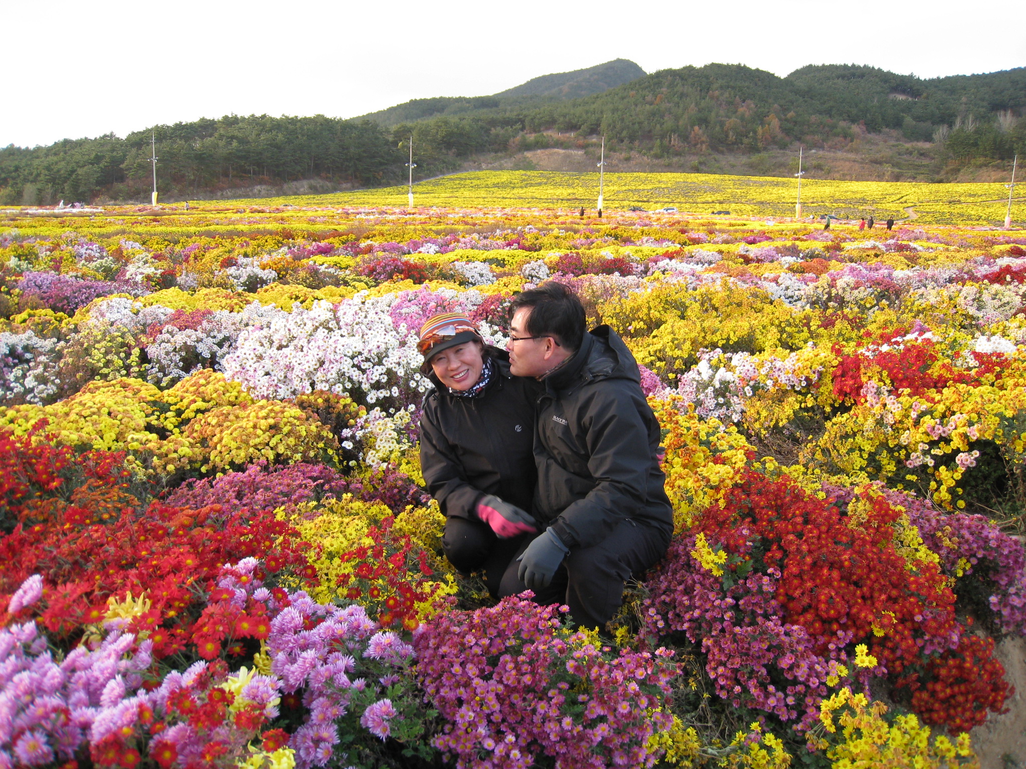 이미지를 클릭하면 원본을 보실 수 있습니다.