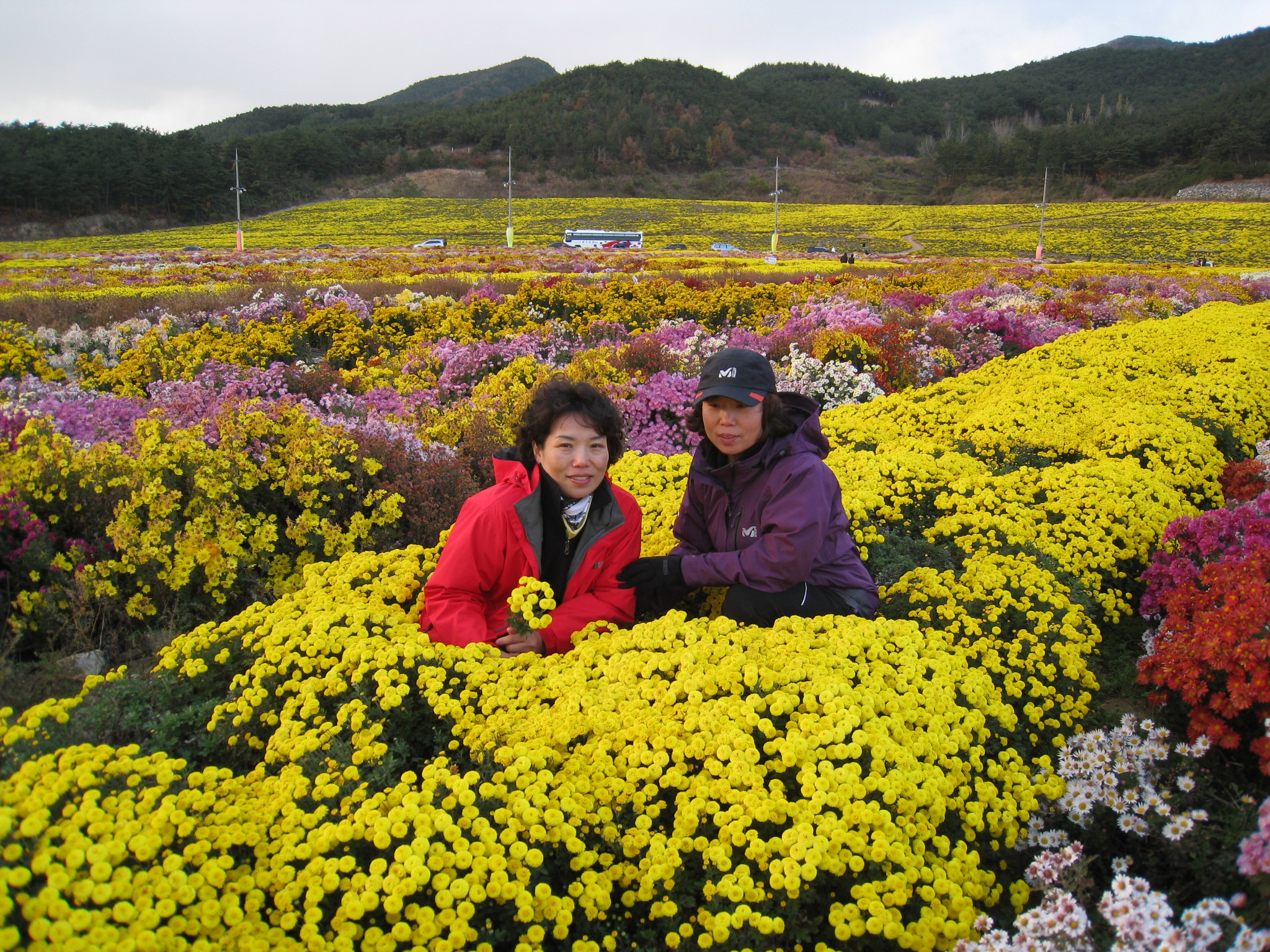 이미지를 클릭하면 원본을 보실 수 있습니다.