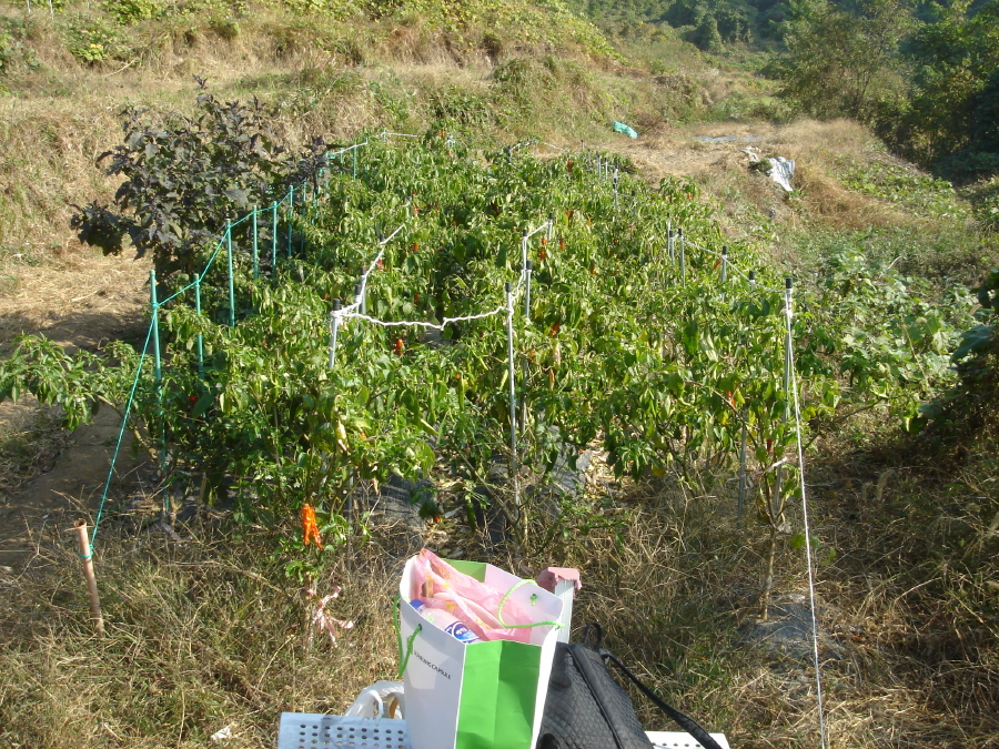 이미지를 클릭하면 원본을 보실 수 있습니다.