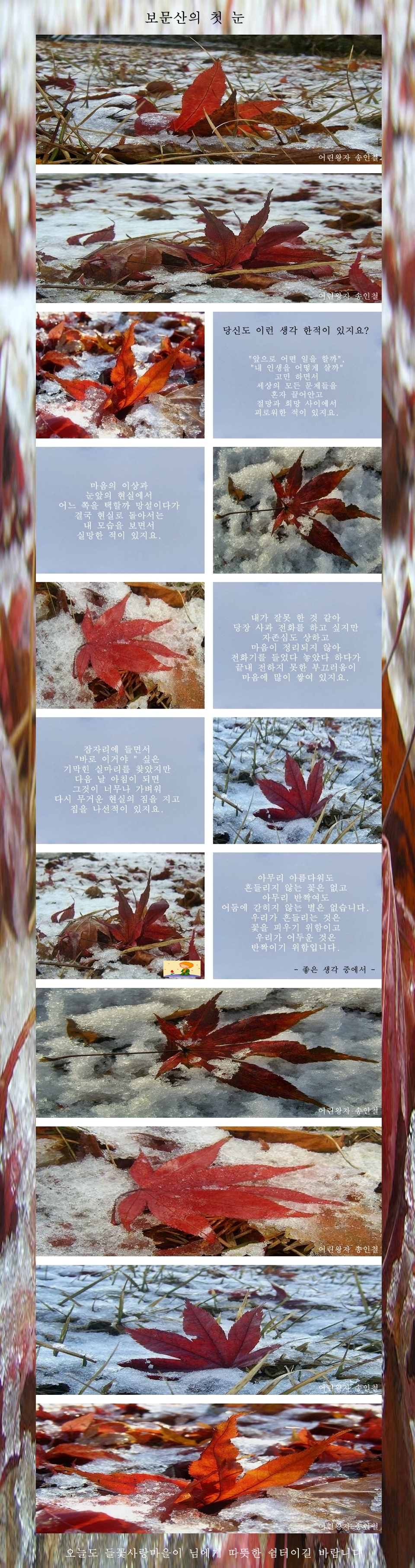 이미지를 클릭하면 원본을 보실 수 있습니다.