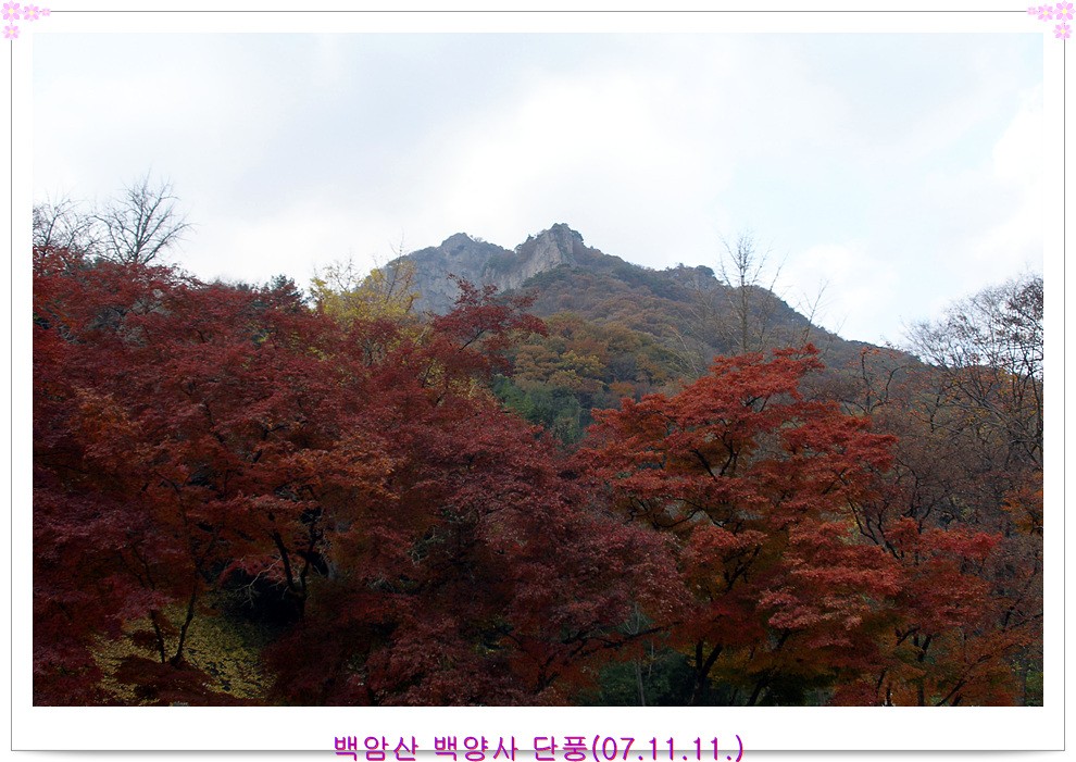 이미지를 클릭하면 원본을 보실 수 있습니다.
