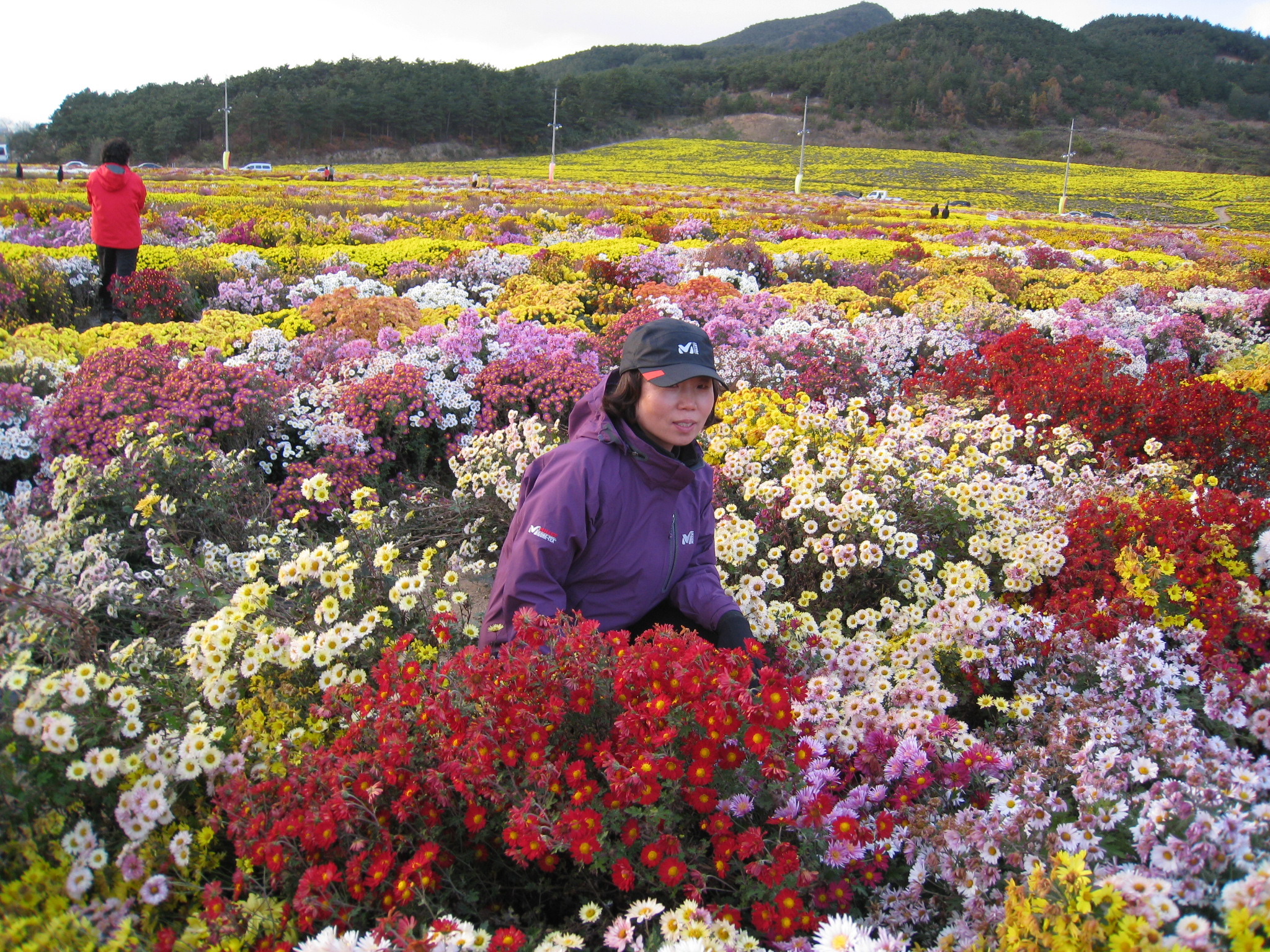 이미지를 클릭하면 원본을 보실 수 있습니다.