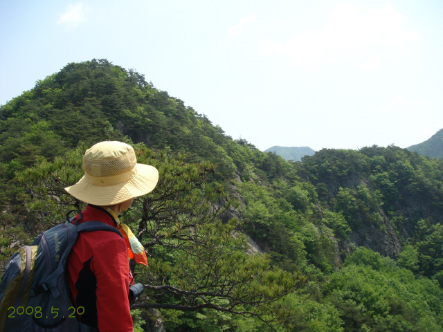 이미지를 클릭하면 원본을 보실 수 있습니다.