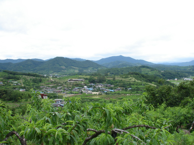 이미지를 클릭하면 원본을 보실 수 있습니다.