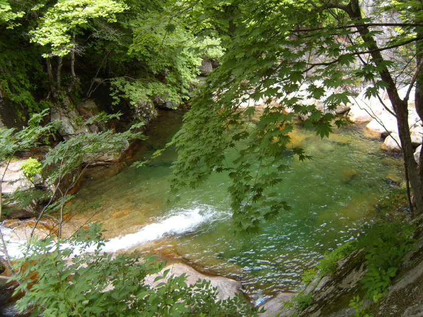 이미지를 클릭하면 원본을 보실 수 있습니다.