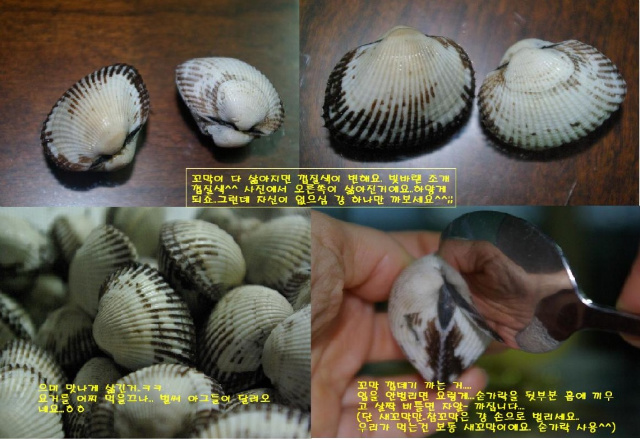 이미지를 클릭하면 원본을 보실 수 있습니다.