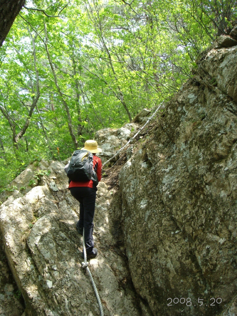 이미지를 클릭하면 원본을 보실 수 있습니다.