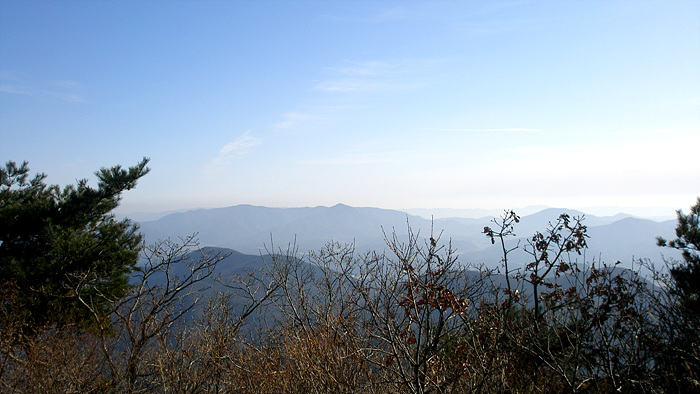이미지를 클릭하면 원본을 보실 수 있습니다.