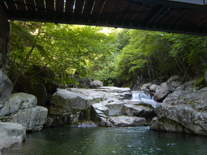 이미지를 클릭하면 원본을 보실 수 있습니다.