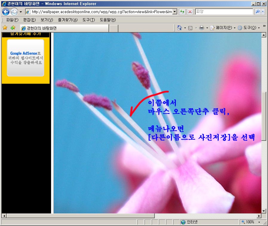 이미지를 클릭하면 원본을 보실 수 있습니다.