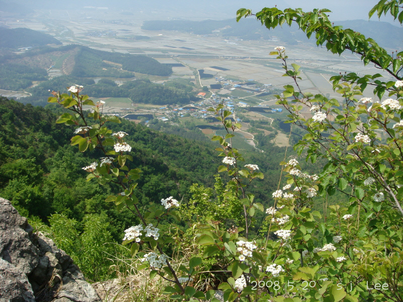 이미지를 클릭하면 원본을 보실 수 있습니다.