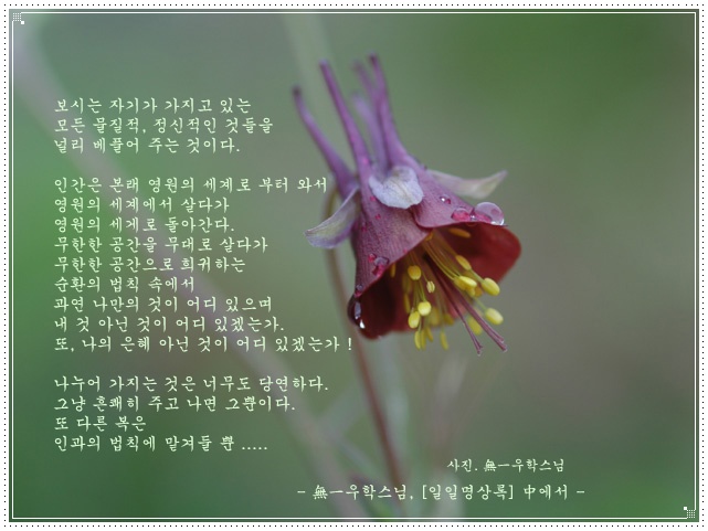 이미지를 클릭하면 원본을 보실 수 있습니다.